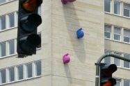 dsc5338